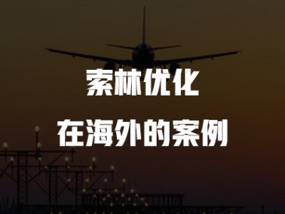 索林优化在海外的案例